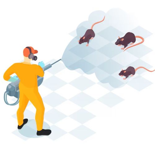 اهمية التخلص من الحشرات و القوارض